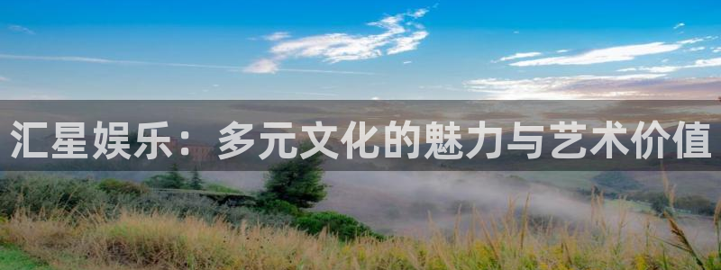 星空娱乐传媒：汇星娱乐：多元文化的魅力与艺术价值