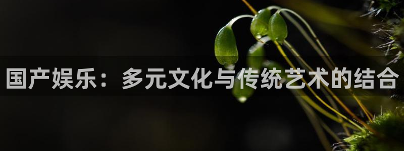 星空娱乐网站官网：国产娱乐：多元文化与传统艺术的结合