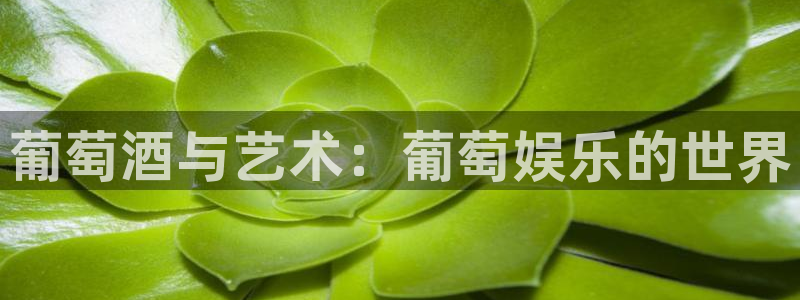 星空娱乐：葡萄酒与艺术：葡萄娱乐的世界