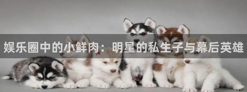 星空娱乐游戏：娱乐圈中的小鲜肉：明星的私生子与幕后英雄