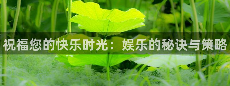 星空娱乐网：祝福您的快乐时光：娱乐的秘诀与策略