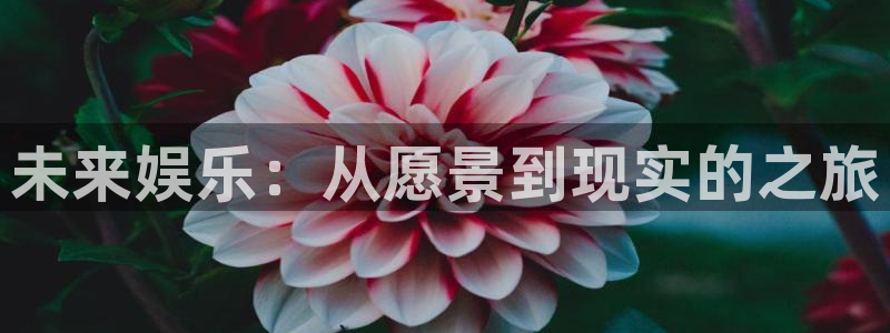 下载星空娱乐：未来娱乐：从愿景到现实的之旅