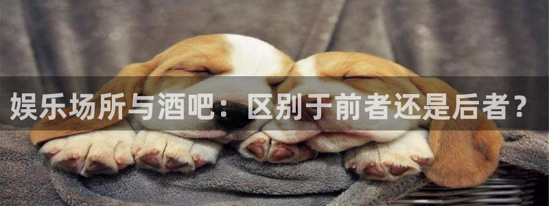 星空娱乐网址：娱乐场所与酒吧：区别于前者还是后者？