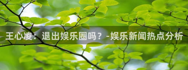 星空娱乐-应用详情：王心凌：退出娱乐圈吗？-娱乐新闻热点分析