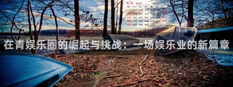 星空娱乐传媒有限公司：在青娱乐圈的崛起与挑战：一场娱乐业的新篇章