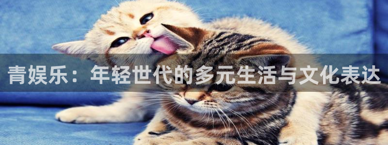 星空娱乐2929：青娱乐：年轻世代的多元生活与文化表达