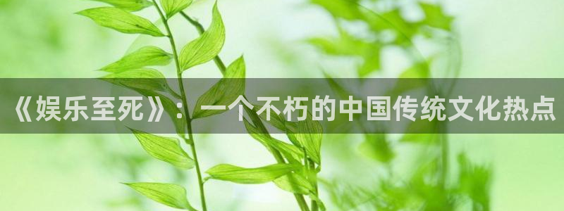 93299星空娱乐官网版：《娱乐至死》：一个不朽的中国传统文化热点